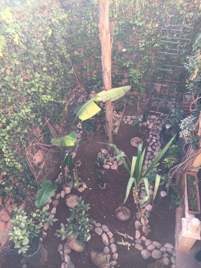 Appartement Andalou Marrakesz Zewnętrze zdjęcie
