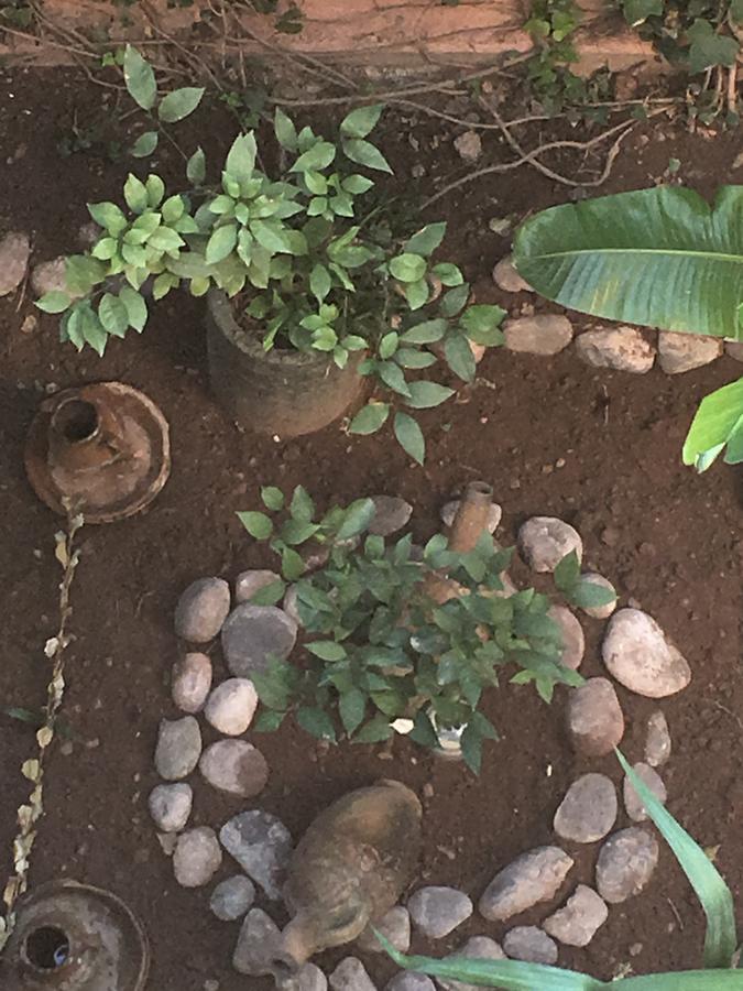 Appartement Andalou Marrakesz Zewnętrze zdjęcie